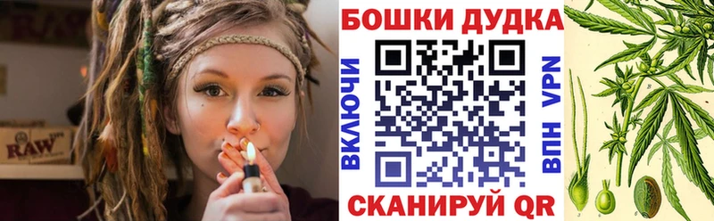 Бошки марихуана сатива  Купить закладки  Чекалин 